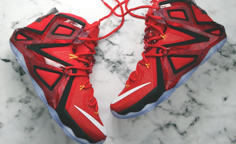 lebron 12 elite team